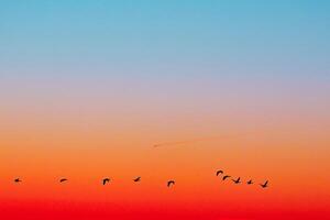 Beautiful View of an Earth And Sky - Amazing Sky with Clouds photo