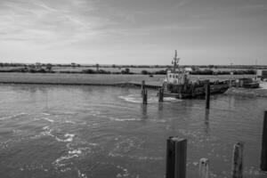 the beach of langeoog island photo