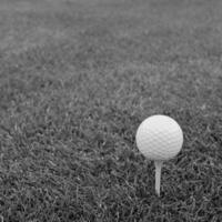 Game in the golf club against the background of the green juicy grass photo