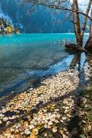 Autumn photo after snowfall, mountain lake Issyk in Almaty region, Kazakhstan. October.