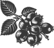 Silhouette Hazelnut fruit black color only vector