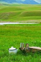 Teapot with glasses standing on a grass with a stone photo