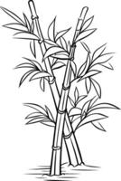 sketch of a bamboo plant on a white background vector