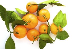Ripe tangerines on the white background photo