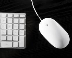 The white mouse and the keyboard for the computer photo