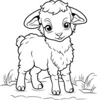 negro y blanco dibujos animados ilustración de linda oveja animal personaje para colorante libro vector