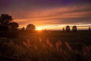 Golden sunset countryside panorama photo