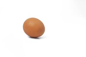 Round chicken egg on a white background photo