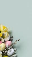 Daffodils, easter eggs and willow on green background with copy space. Easter greeting card template vertical format photo
