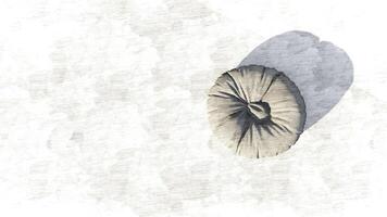 3d rendering round beanbag on sketch photo