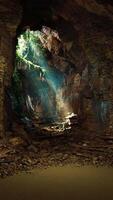 grotta pieno con alberi e rocce video