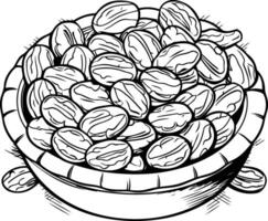 mano dibujado bosquejo de nueces en un cuenco de nueces. vector