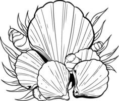 Hand drawn seashells and palm leaves. Black and white illustration. vector