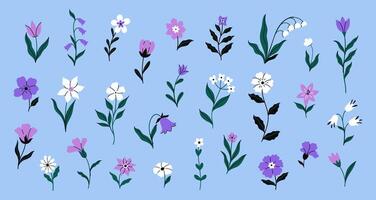 Large set of different meadow flowers. graphics. vector