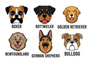 cartoon dog faces of different dog breeds vector