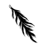 Spruce twig black silhouette illustration vector