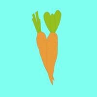 nice cool carrot picture vector