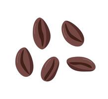 Coffee beans for making coffee. illustration, Isolated on a white background. vector