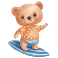 bambino orso tavola da surf a il mare png