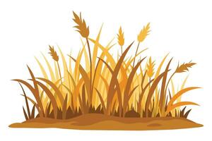Cutout dried grass overgrown, flat illustration vector