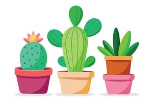 Summer cactus plants in pots 3 items set, flat illustration vector