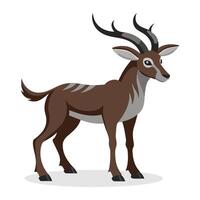 Markhon animal flat illustration on white background. vector