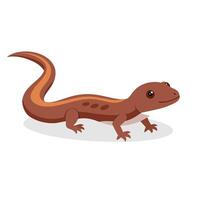 Skink animal flat illustration on white background vector