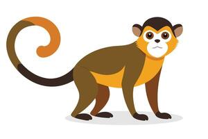 Squirrel monkey animal flat illustration on white background. vector