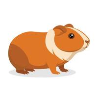 Guinea animal flat illustration on white background. vector