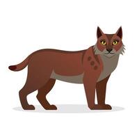 Bobcat animal flat illustration on white background vector