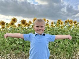 contento pequeño chico en verano girasol campo exterior. foto