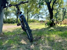 Mountain bikes in beautiful green forest, the sun is shining through the trees. Mountain bike concept. photo