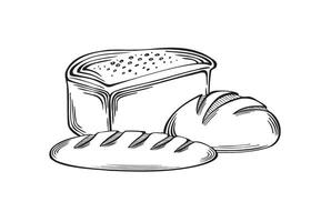 un pan francés pan con redondo un pan. panadería bienes trigo y centeno. ilustración lineal, aislado. bosquejo de tradicional comida productos modelo para envase, libro de cocina, menú, escaparate, aplicación, sitio web vector