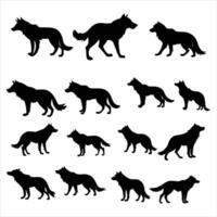 Black Wolf Illustration vector