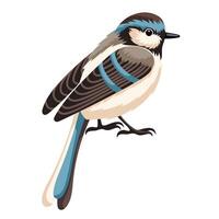 Brown and blue bird with long tail vector