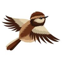 Flying brown little bird vector