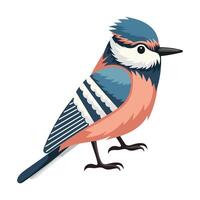 Pink and blue bird vector