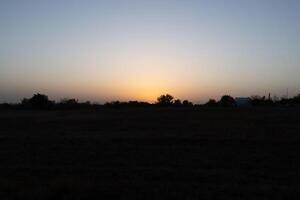 Landscape photo of sunset in the forest