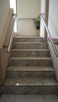 a stairway with a handrail and a plant on the steps photo