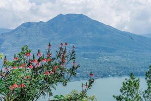 mountain and lake Batur in Bali scenic view photo