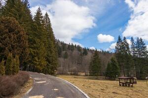 Landscape photo of gorgeous forest on a partial cloddy day