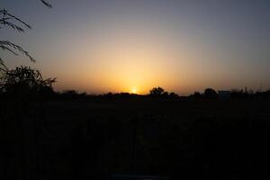 Blissful Landscape photo of sunset in the forest