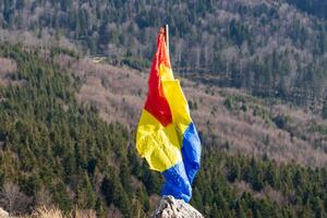 Photo of the Romanian flag with forest in the background