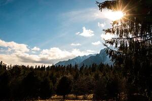 Landscape photo of gorgeous forest on a partial cloddy day