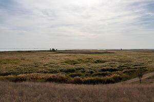 Landscape photos from the nature reserve of Jurilovca commune in Tulcea, Romania