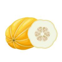 Illustration, Chamoe melon, or Korean melon, isolated on white background. vector