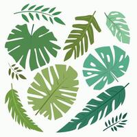 un colección de tropical hojas de irregular resumen forma. Hora de verano. verde. mano dibujar. para el diseño de pancartas, postales, invitaciones, patrones vector