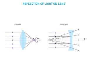 Light Refraction,Convex andConcave Lenses vector