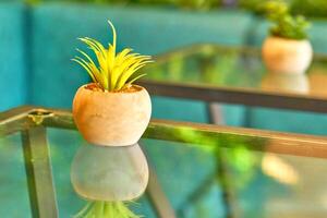Flower pot with plant on a table in a cafe photo