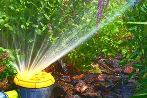 Irrigation system. Sprinkler watering greenery on a hot day in a city park photo